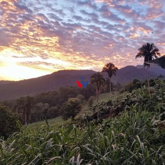 Rural à venda, centro, MORRETES - PR