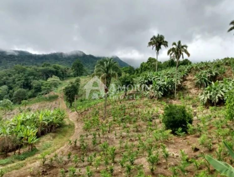 Rural à venda, centro, MORRETES - PR