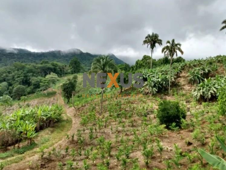 Rural à venda, centro, MORRETES - PR
