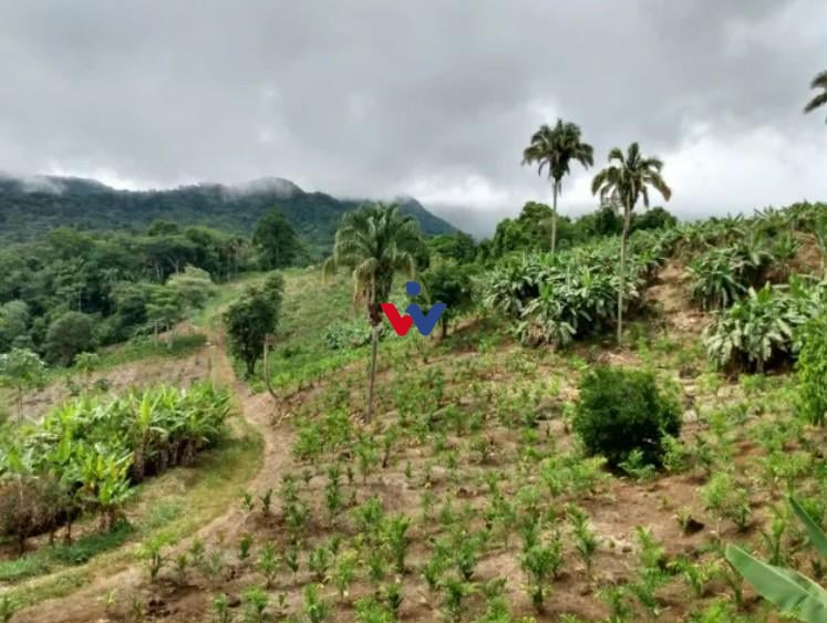 Rural à venda, centro, MORRETES - PR