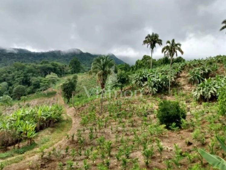 Rural à venda, centro, MORRETES - PR