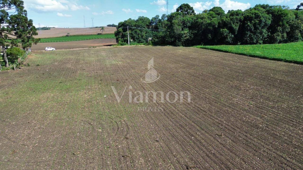 Rural à venda,19400.84 m , Tranqueira, ALMIRANTE TAMANDARE - PR