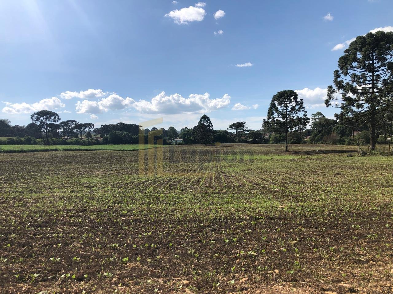 Terreno Industrial Comercial 19.400m  em Almirante Tamandaré  ...