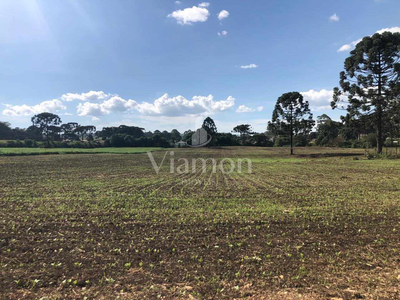 Rural à venda,19400.84 m , Tranqueira, ALMIRANTE TAMANDARE - PR