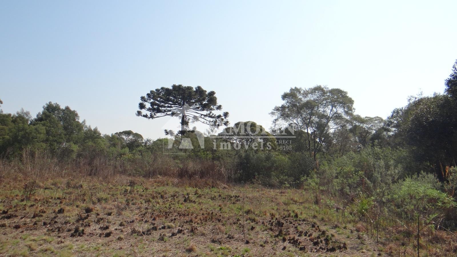 Área Industrial à venda,84.000,00 m , campo do meio, CAMPO LAR...
