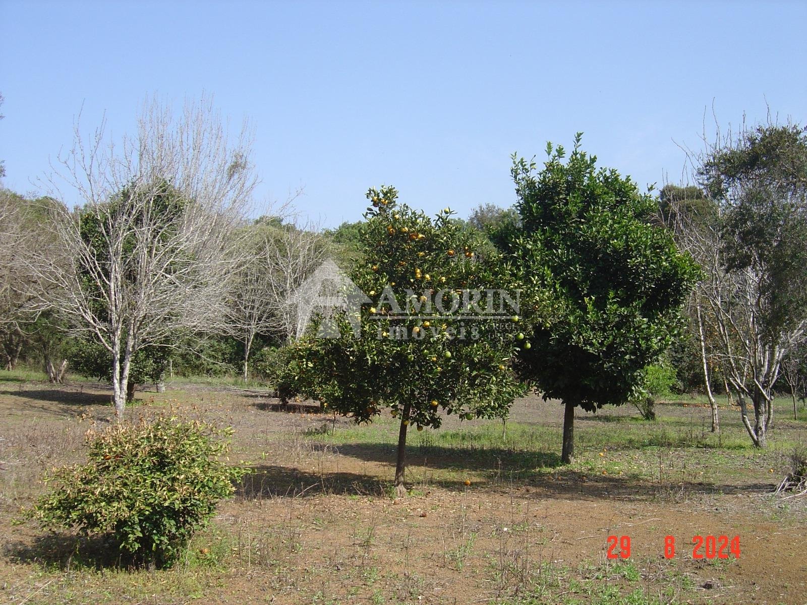Área Industrial à venda,84.000,00 m , campo do meio, CAMPO LAR...