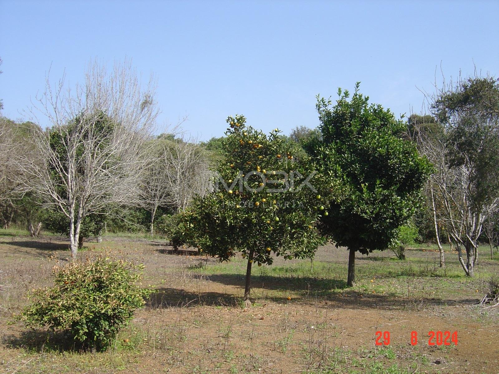 Área Industrial à venda,84.000,00 m , campo do meio, CAMPO LAR...