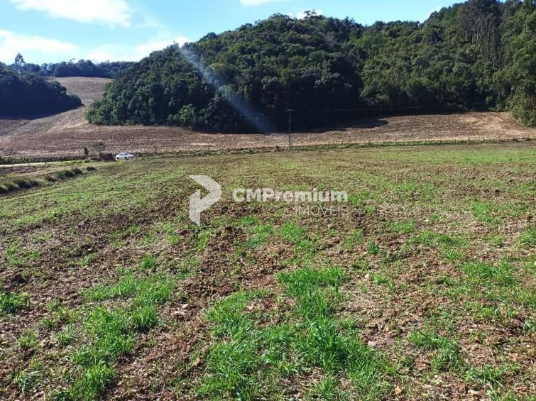 Terreno à venda,24080.00 m , centro, CAMPO MAGRO - PR