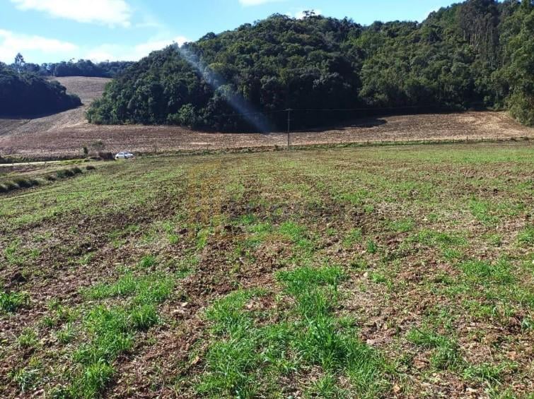Terreno à venda,24080.00 m , centro, CAMPO MAGRO - PR