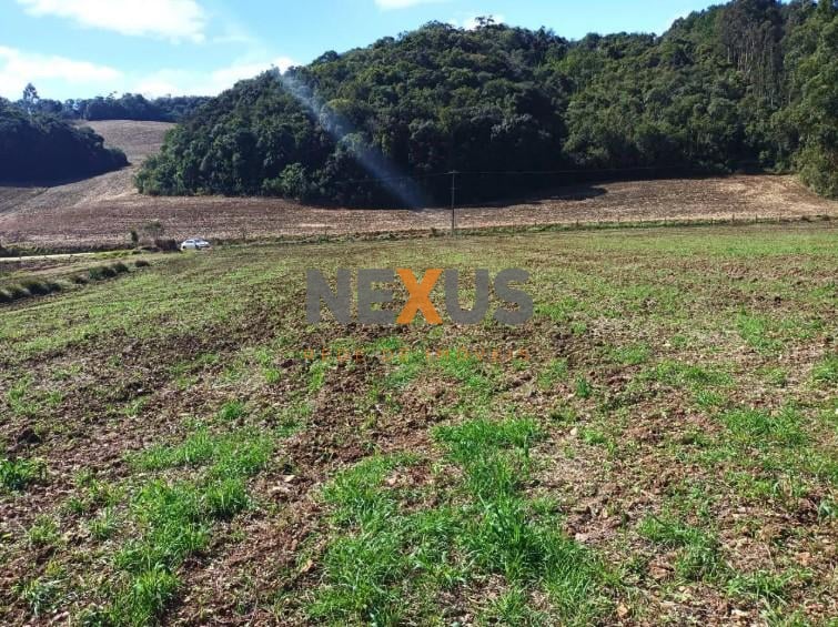 Terreno à venda,24080.00 m , centro, CAMPO MAGRO - PR