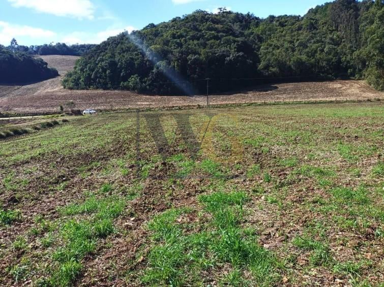 Terreno Rural em Campo Magro  24.080 m , Plano e Limpo, Aceita...