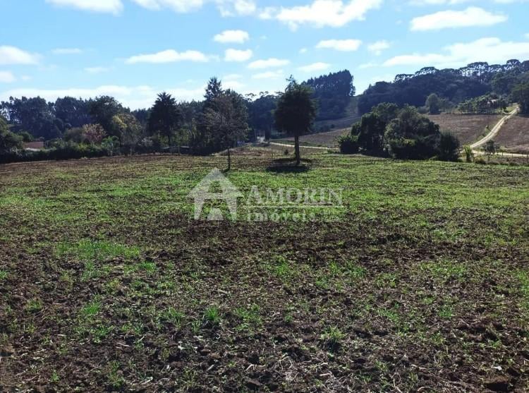 Terreno à venda,24080.00 m , centro, CAMPO MAGRO - PR