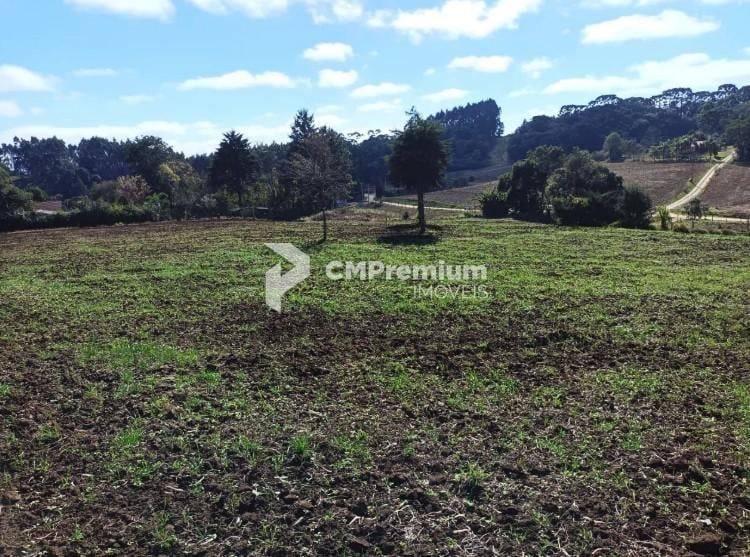 Terreno à venda,24080.00 m , centro, CAMPO MAGRO - PR