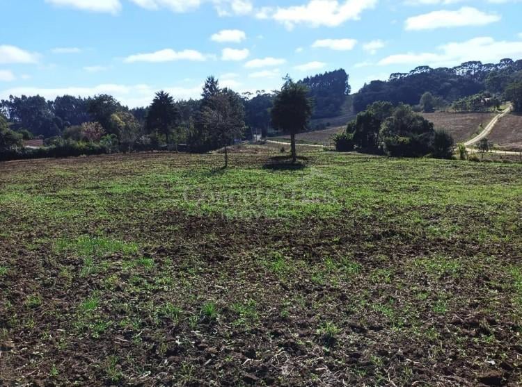 Terreno à venda,24080.00 m , centro, CAMPO MAGRO - PR
