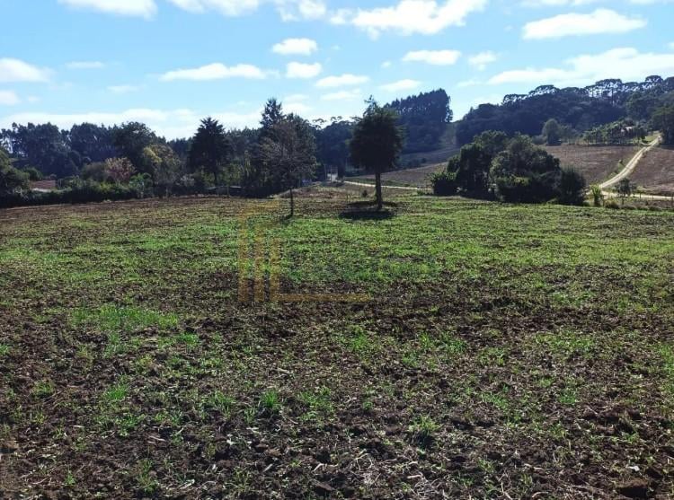 Terreno à venda,24080.00 m , centro, CAMPO MAGRO - PR