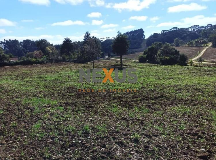 Terreno à venda,24080.00 m , centro, CAMPO MAGRO - PR