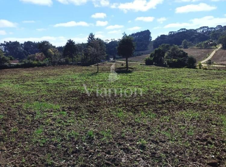 Terreno à venda,24080.00 m , centro, CAMPO MAGRO - PR