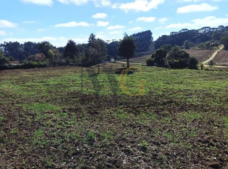 Terreno Rural em Campo Magro  24.080 m , Plano e Limpo, Aceita...
