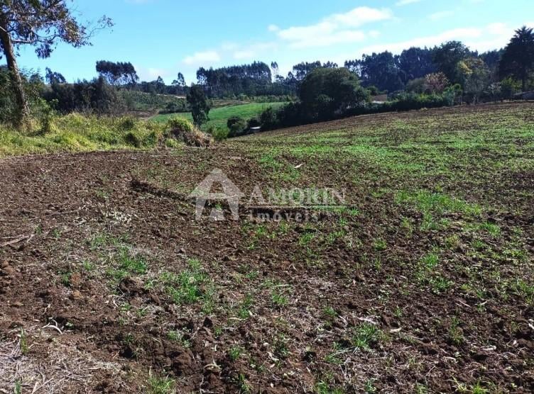 Terreno à venda,24080.00 m , centro, CAMPO MAGRO - PR
