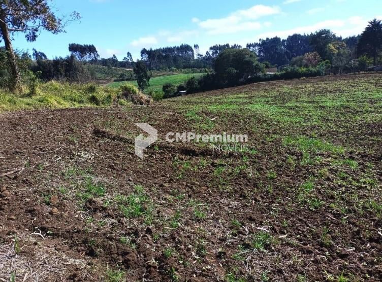 Terreno à venda,24080.00 m , centro, CAMPO MAGRO - PR