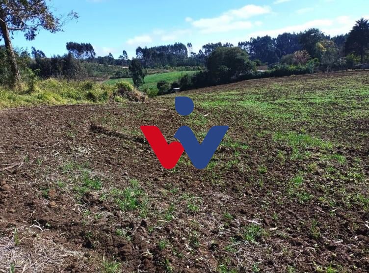 Terreno à venda,24080.00 m , centro, CAMPO MAGRO - PR