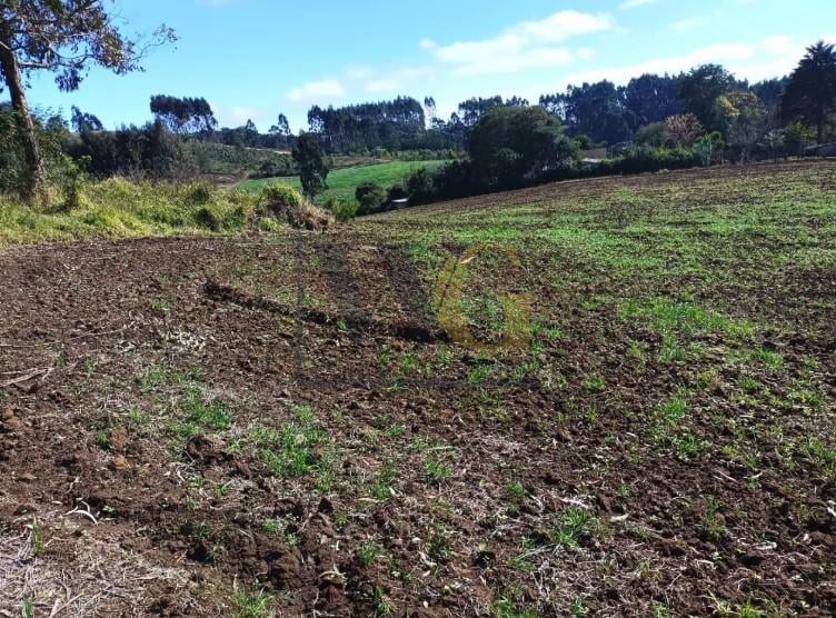 Terreno Rural em Campo Magro  24.080 m , Plano e Limpo, Aceita...