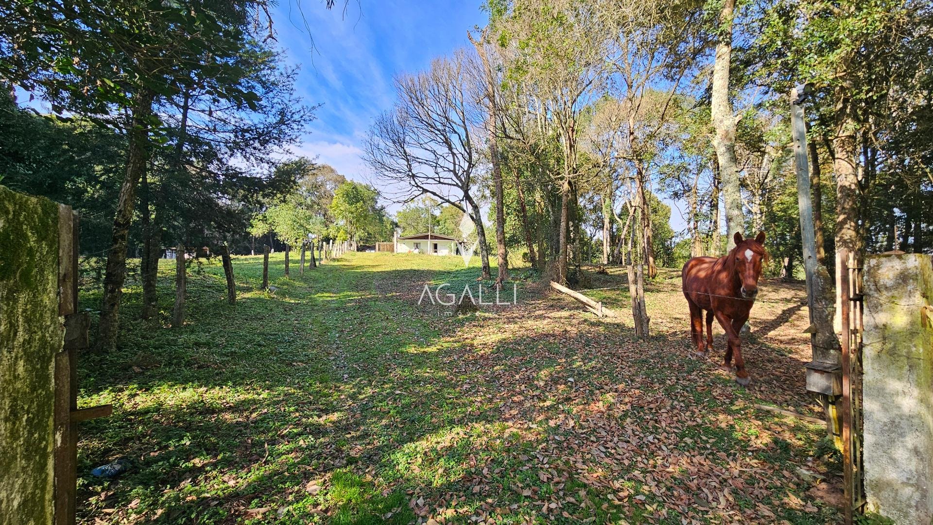 Chácara Completa em Araucária  23816 m  ,com Casa Ampla, Fruta...
