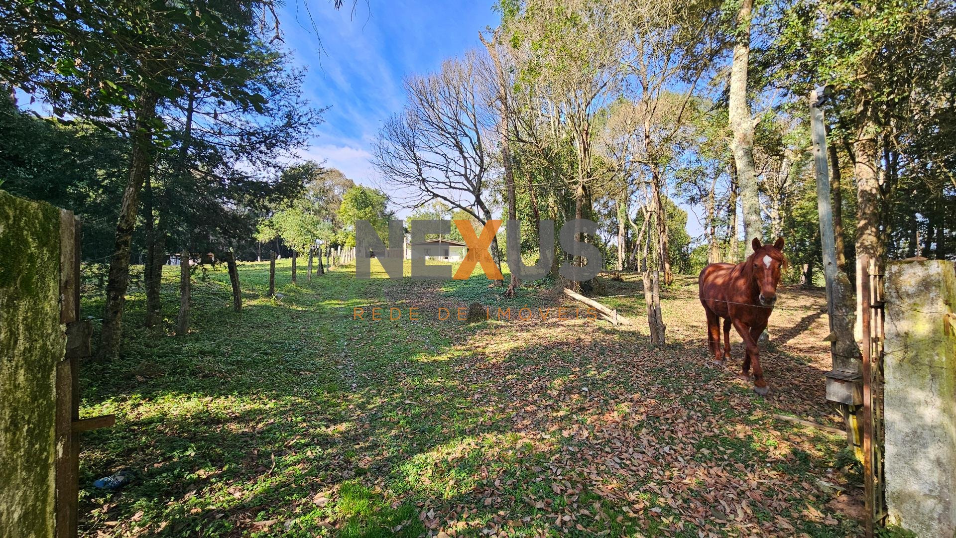 Chácara Completa em Araucária  23816 m  ,com Casa Ampla, Fruta...