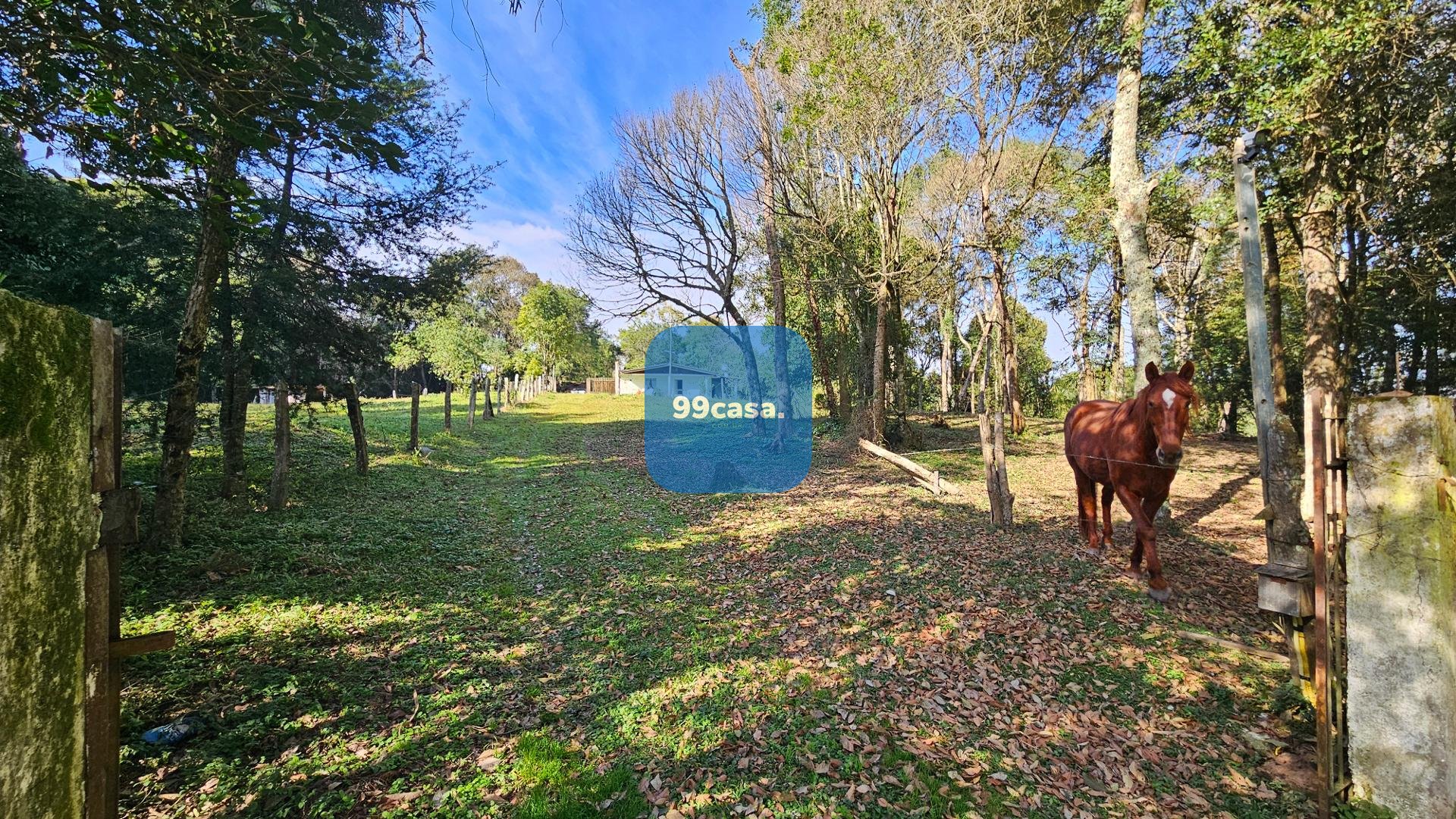 Chácara Completa em Araucária  23816 m  ,com Casa Ampla, Fruta...