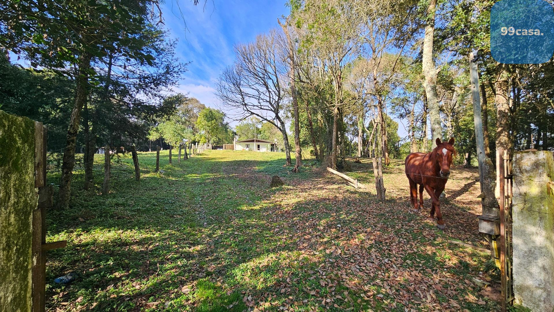 Terreno ? venda, bairro Estados, Fazenda Rio Grande, ?tima opo...