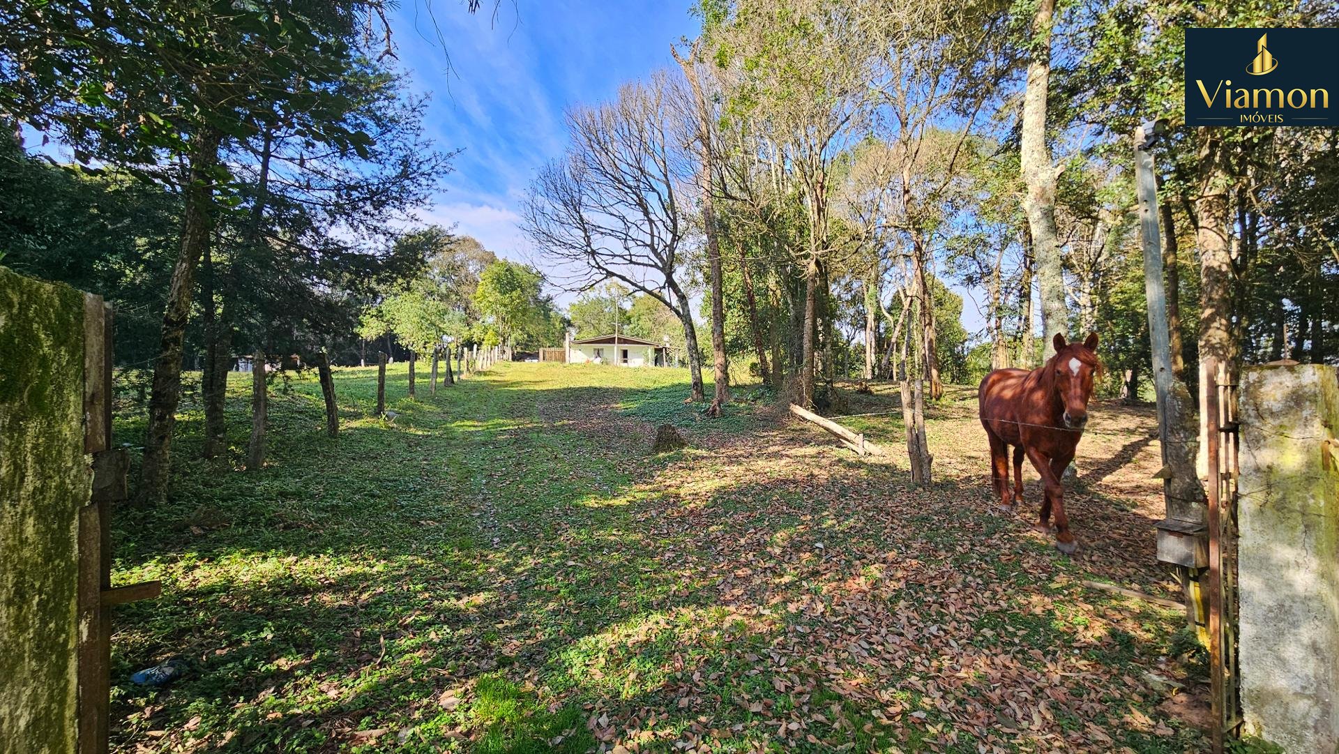 Chácara Completa em Araucária  23816 m  ,com Casa Ampla, Fruta...