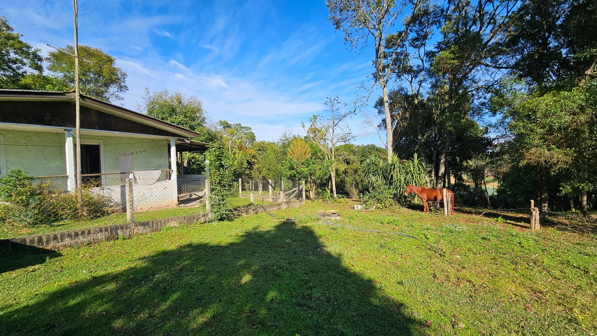 Ch?cara Completa em Arauc?ria  23816 m  ,com Casa Ampla, Fruta...