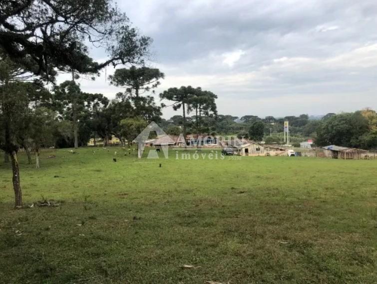 Área de 24.800m  à Venda na BR-116 em Curitiba. 12.500.000,00