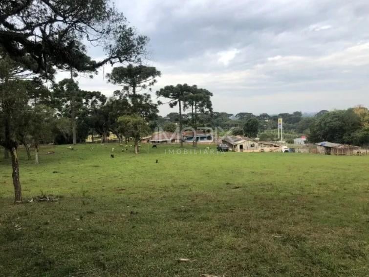 Área de 24.800m  à Venda na BR-116 em Curitiba. 12.500.000,00