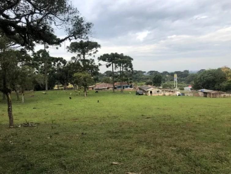 Área de 24.800m  à Venda na BR-116 em Curitiba. 12.500.000,00