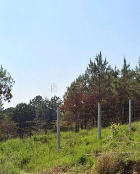 Terreno 159.278 m  por R 20.000.000,00  96.100 m  úteis em Col...