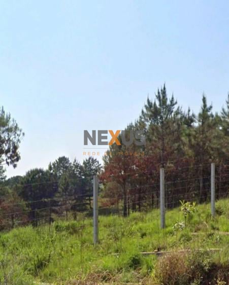 Terreno 159.278 m  por R 20.000.000,00  96.100 m  úteis em Col...