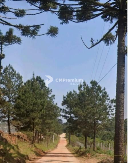 Terreno 159.278 m  por R 20.000.000,00  96.100 m  úteis em Col...