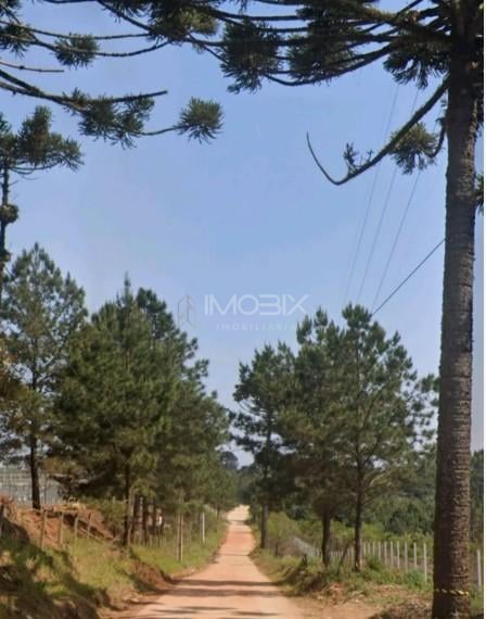 Terreno 159.278 m  por R 20.000.000,00  96.100 m  úteis em Col...