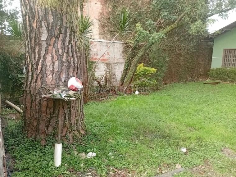 Terreno plano de 370m  com casa de alvenaria no Cajuru, ótimo ...