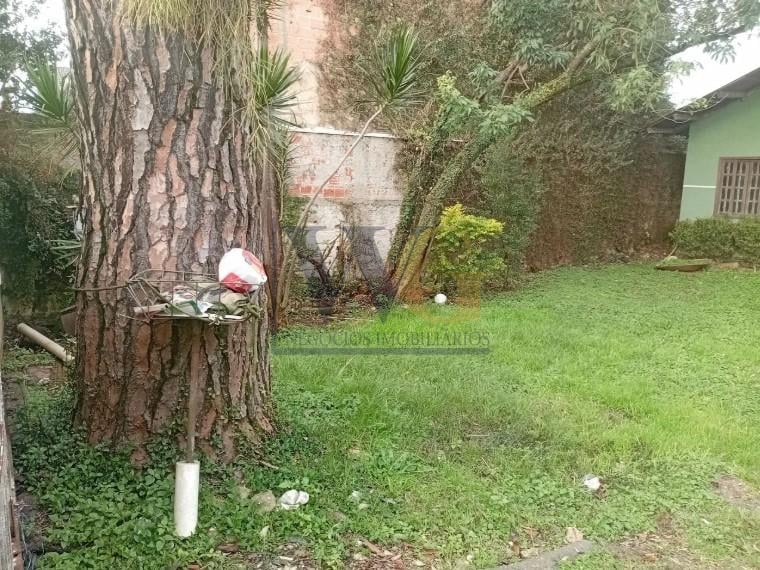 Terreno plano de 370m  com casa de alvenaria no Cajuru, ótimo ...