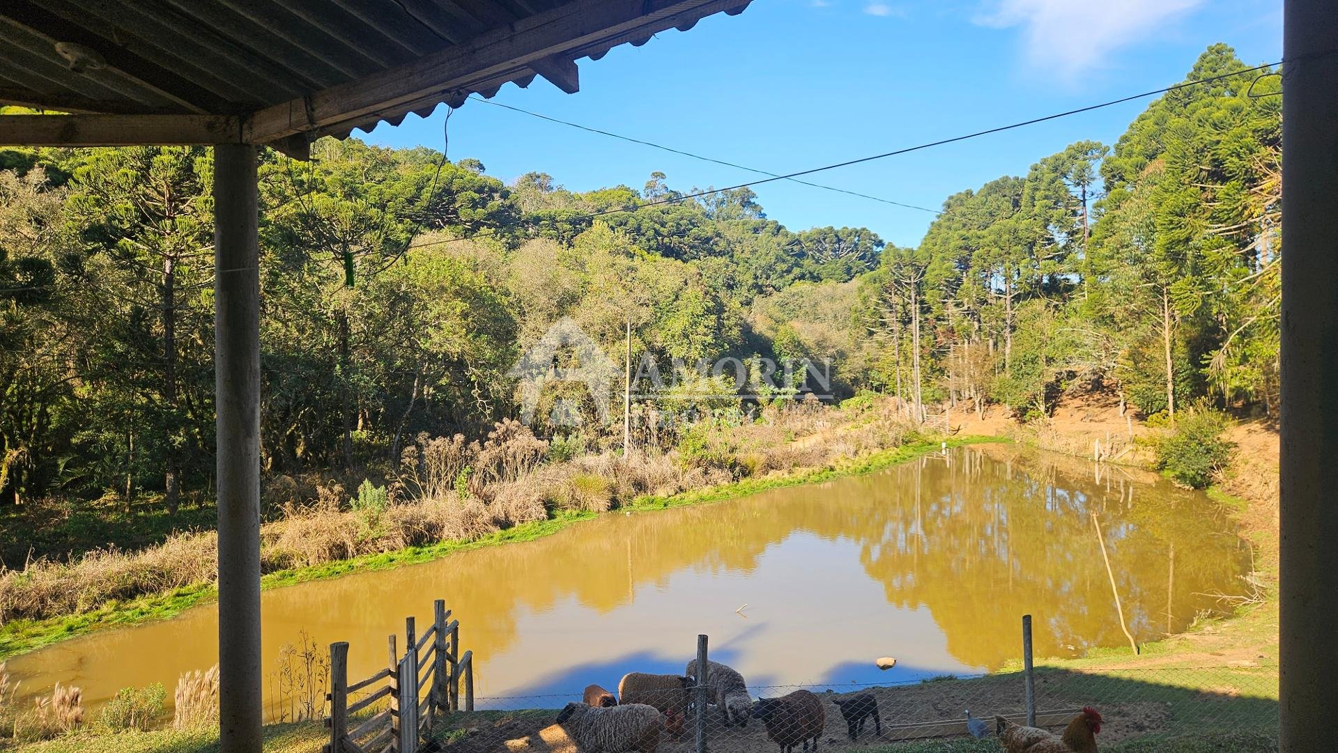 Chácara com 48400m  , aceita imóvel como parte do pagamento, C...