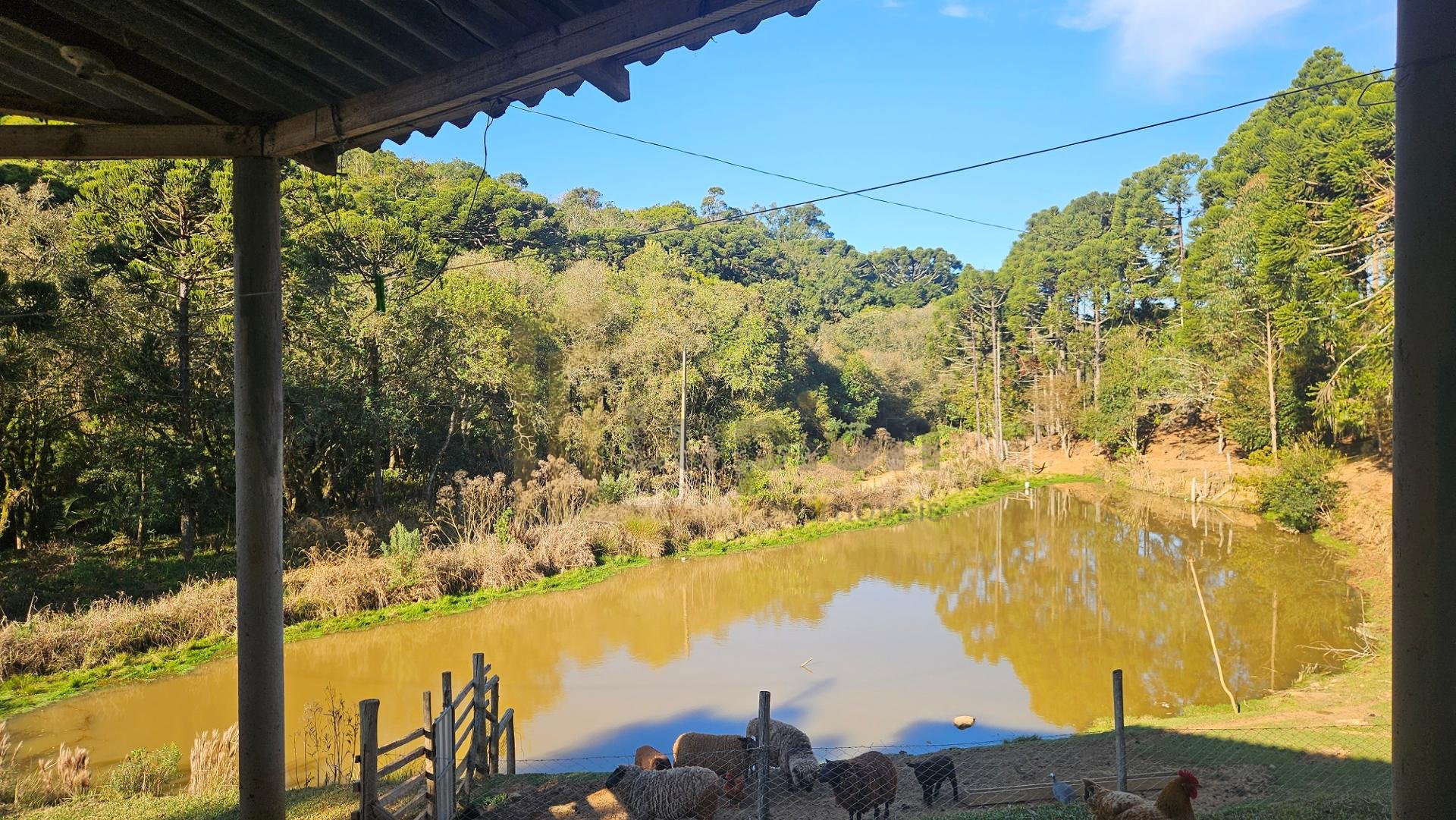 Chácara 48.400m  com tanques, riacho e 2 casas  aceita imóvel ...