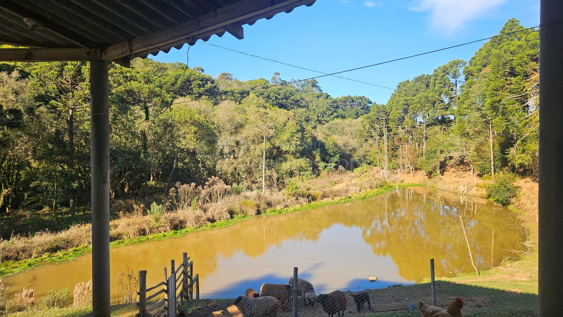 Chácara 48.400m  com tanques, riacho e 2 casas  aceita imóvel ...
