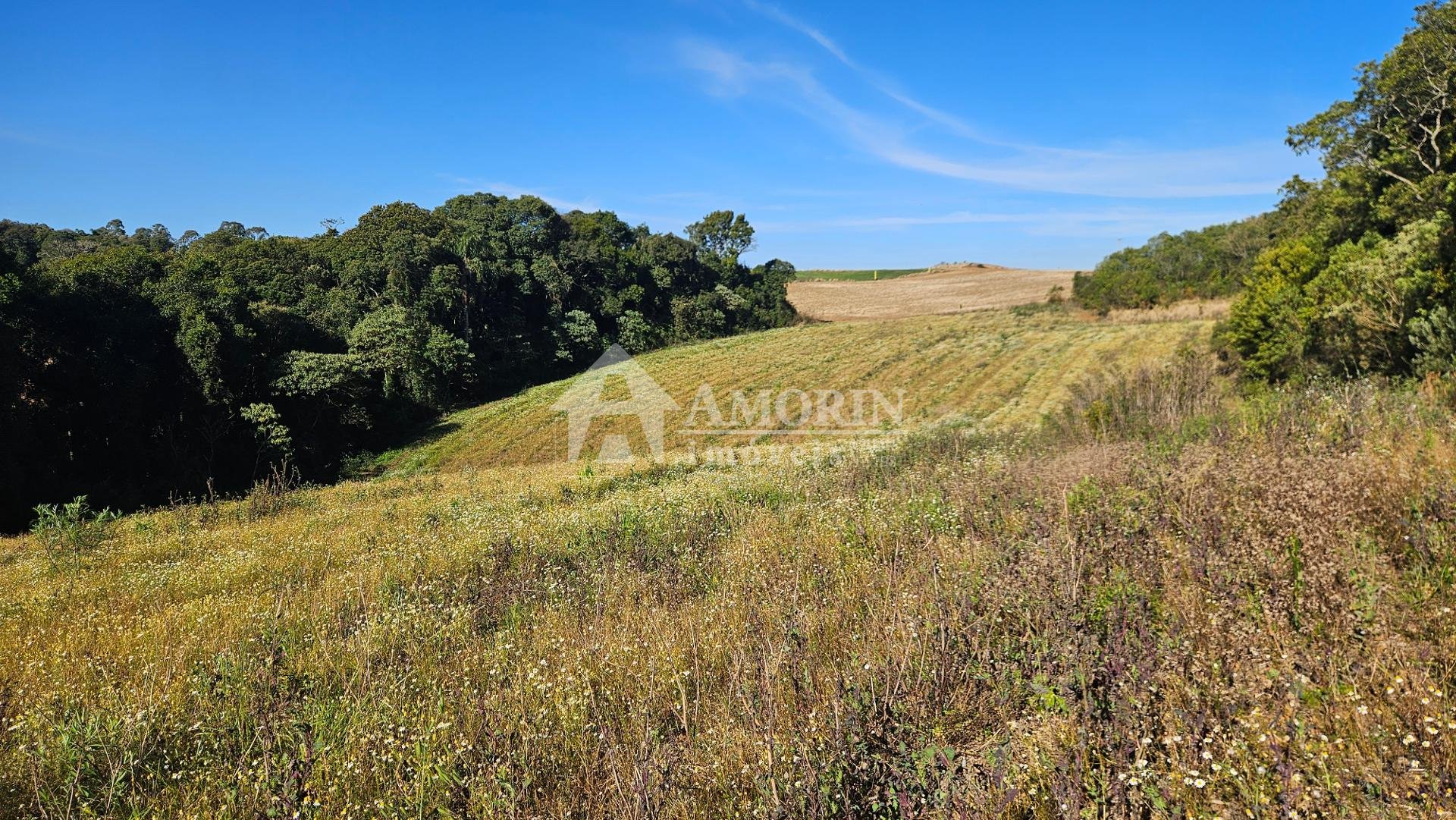 Chácara 7 Alqueires em Campo Magro  Ideal para Plantio e Lazer