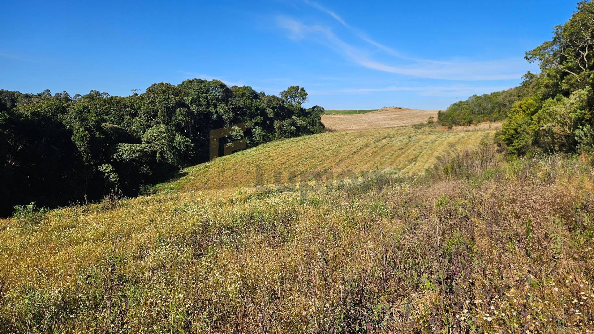 Chácara 7 Alqueires em Campo Magro  Ideal para Plantio e Lazer
