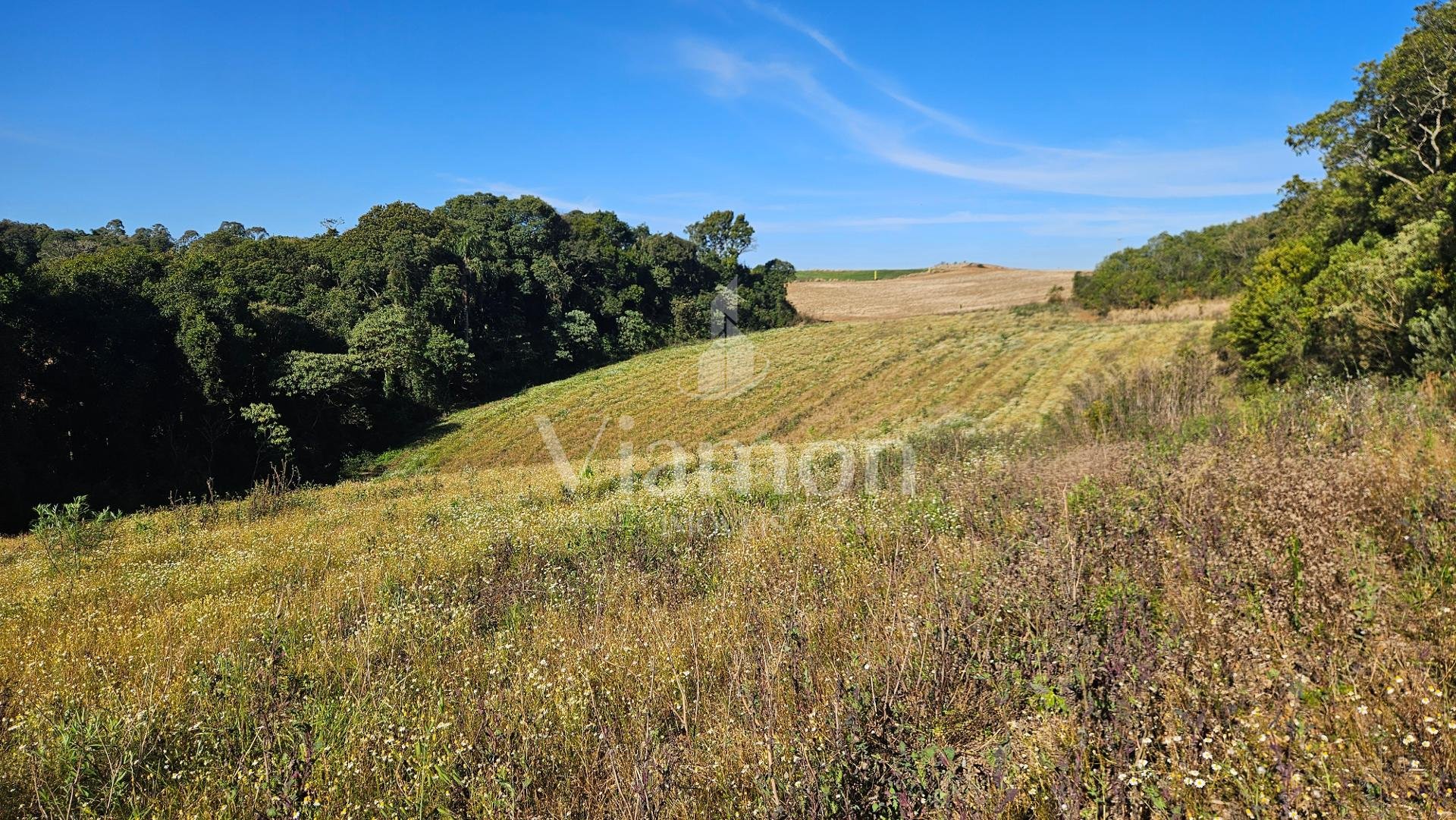 Chácara 7 Alqueires em Campo Magro  Ideal para Plantio e Lazer