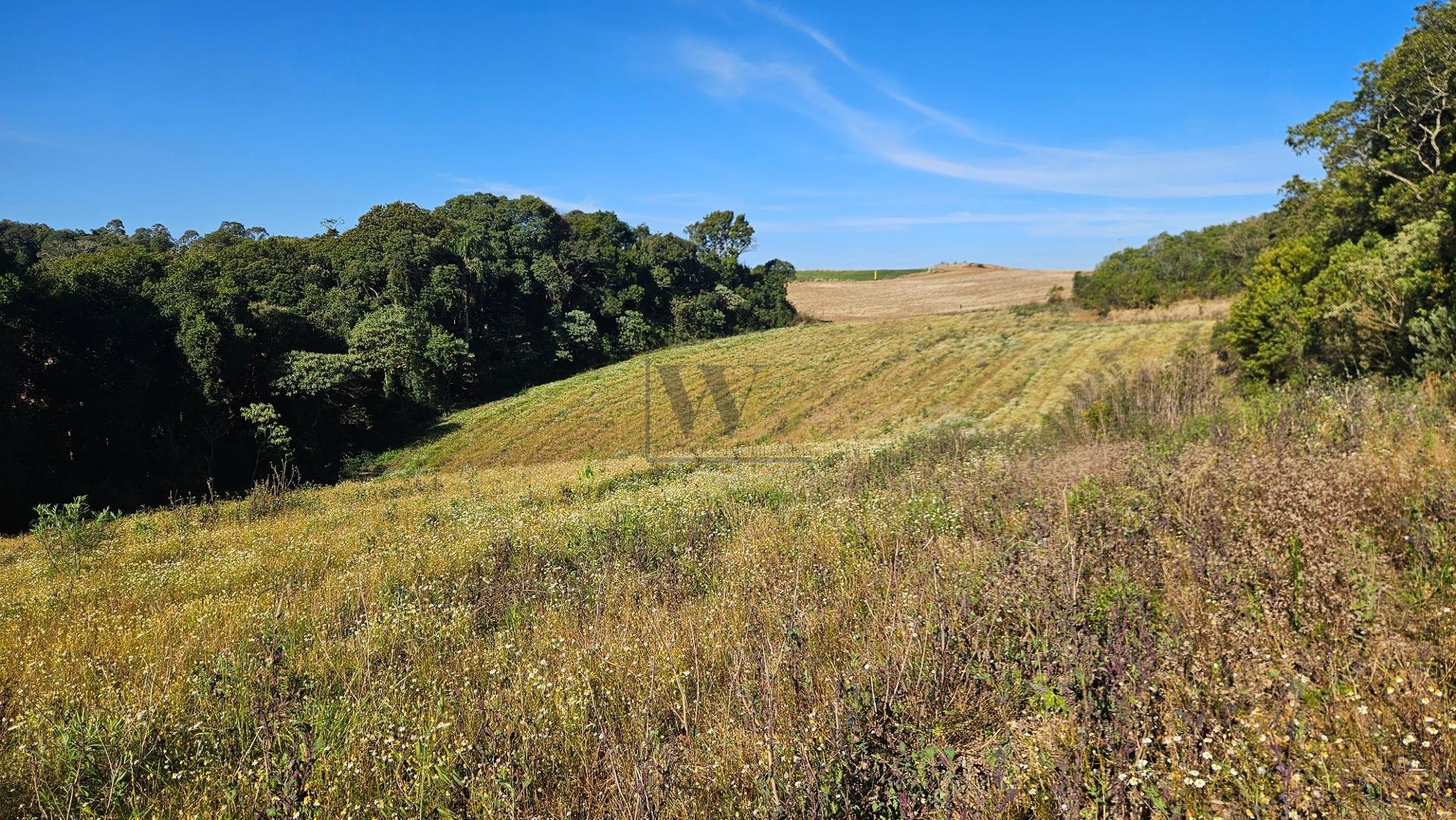 Chácara 7 Alqueires em Campo Magro  Ideal para Plantio e Lazer