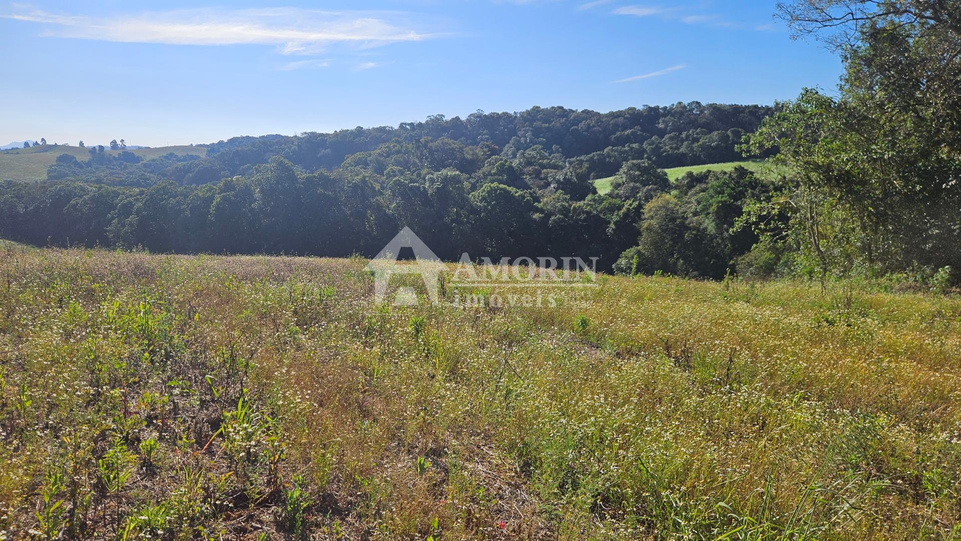 Chácara 7 Alqueires em Campo Magro  Ideal para Plantio e Lazer
