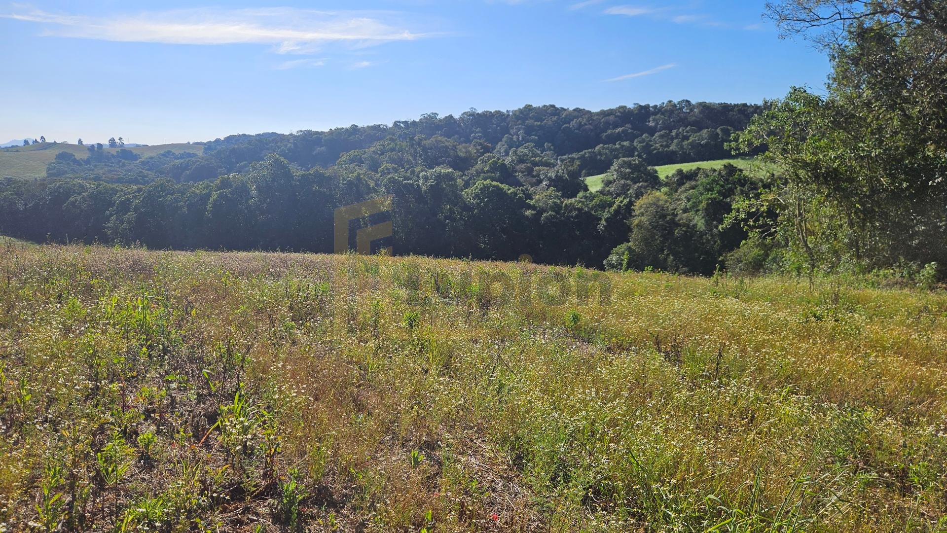 Chácara 7 Alqueires em Campo Magro  Ideal para Plantio e Lazer
